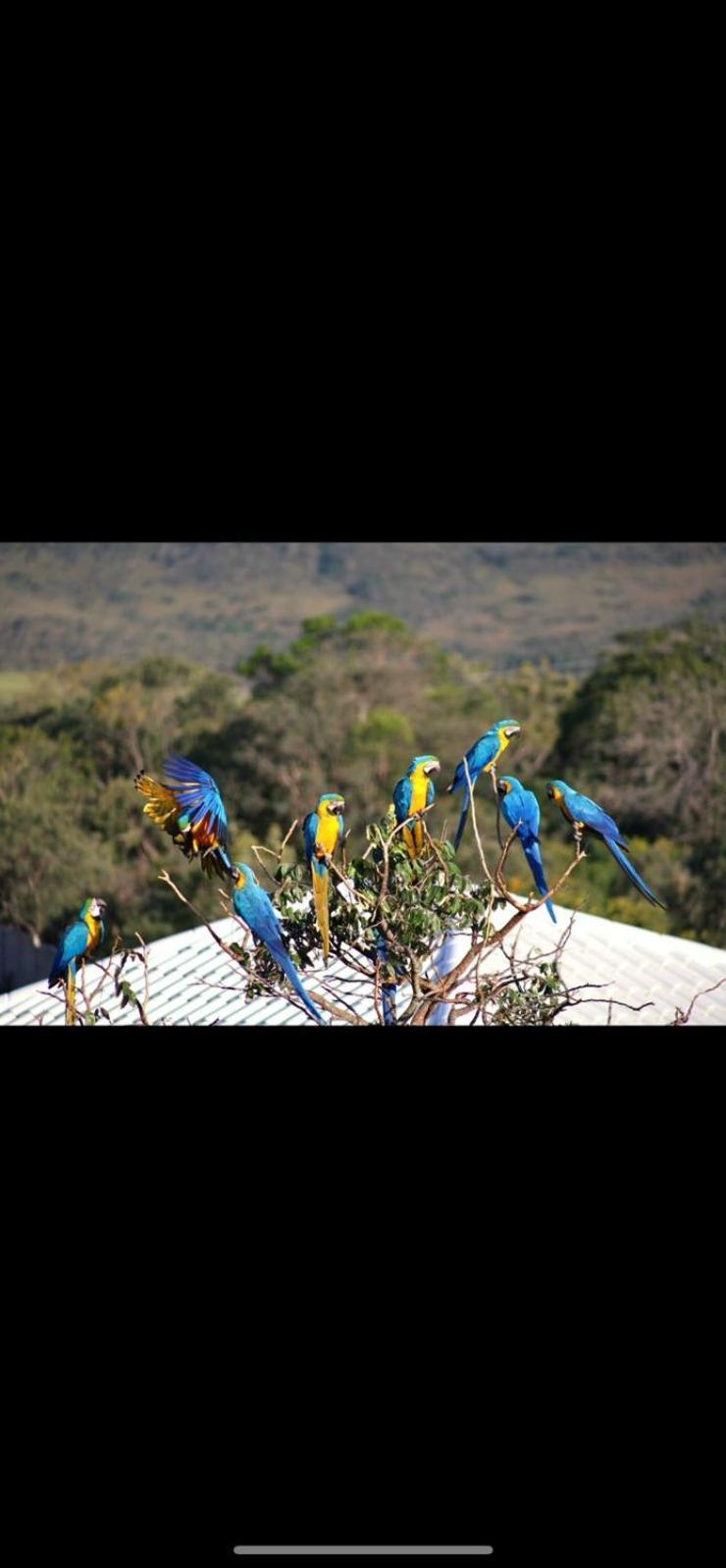 Tereza Hotel Alto Paraiso de Goias
